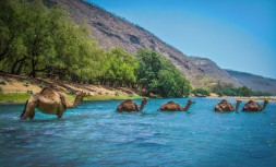 00places-Oman-superJumbo-v3.jpg