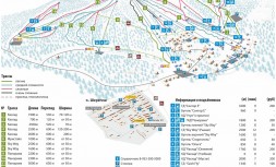 0574-005.jpg