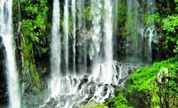 0fcd2e0f245138a6312d4a9e6aead5d9--la-reunion-mauritius.jpg