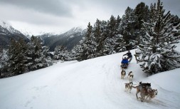 54d1f54b85f8154d1f54b542a5mushing-andorra-incentive-file0.jpg