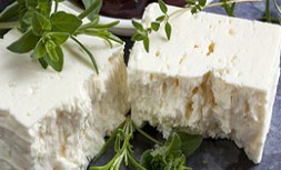 Food Chees feta
