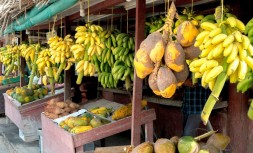 arisa-s-oman-salalah-market-unsplashpics2.3.jpg