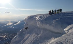 gallery_80553_4731_1051352.jpg