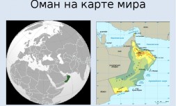 img3.jpg