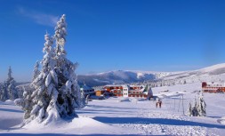 krkonose-krkonossky-narodni-park-krnap-69a.jpg