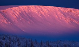 scale_1200456.jpg