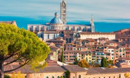siena1